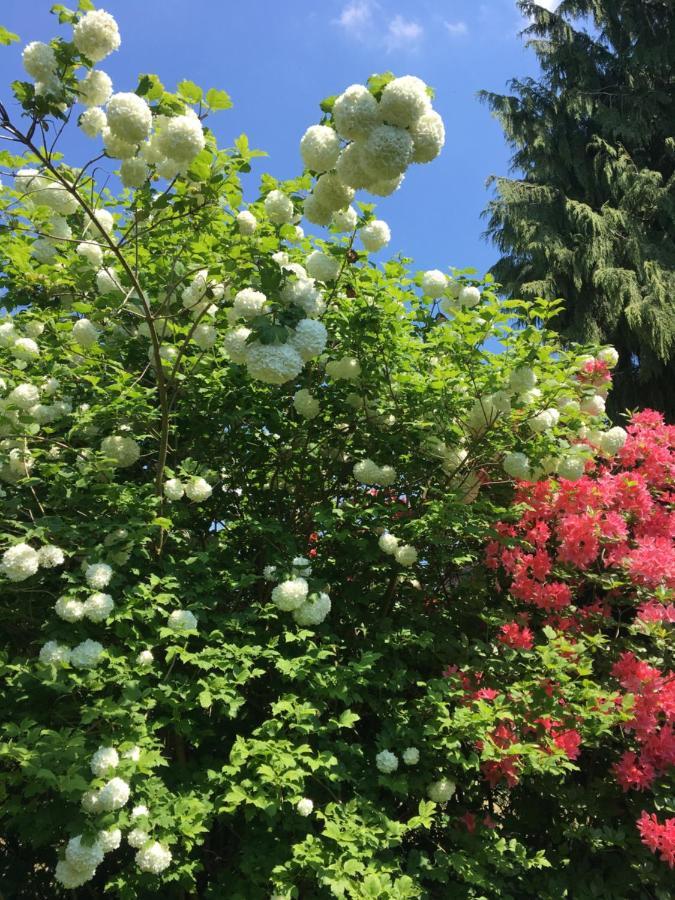 Bed and Breakfast Les Jardins De Beaumont Hem Esterno foto